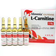 Estoque lido para a queima de gordura Injeção de L-Carnitina 2,0g